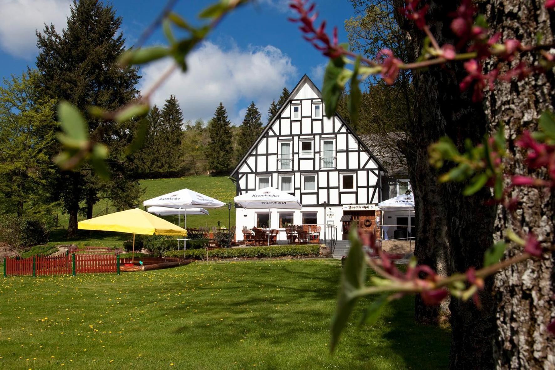 Forellenhof Wald- Und Wiesenquartier บาด แบร์เลอบวร์ก ภายนอก รูปภาพ